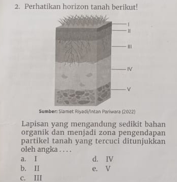 Perhatikan horizon tanah berikut!
Sumber: Slamet Riyadi/Intan Pariwara (2022)
Lapisan yang mengandung sedikit bahan
organik dan menjadi zona pengendapan
partikel tanah yang tercuci ditunjukkan
oleh angka . . . .
a. I d. IV
b. II e. V
c. III