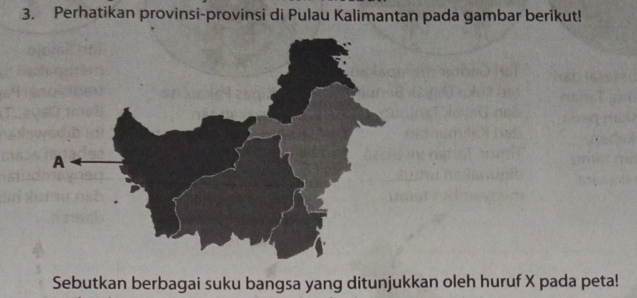 Perhatikan provinsi-provinsi di Pulau Kalimantan pada gambar berikut! 
Sebutkan berbagai suku bangsa yang ditunjukkan oleh huruf X pada peta!