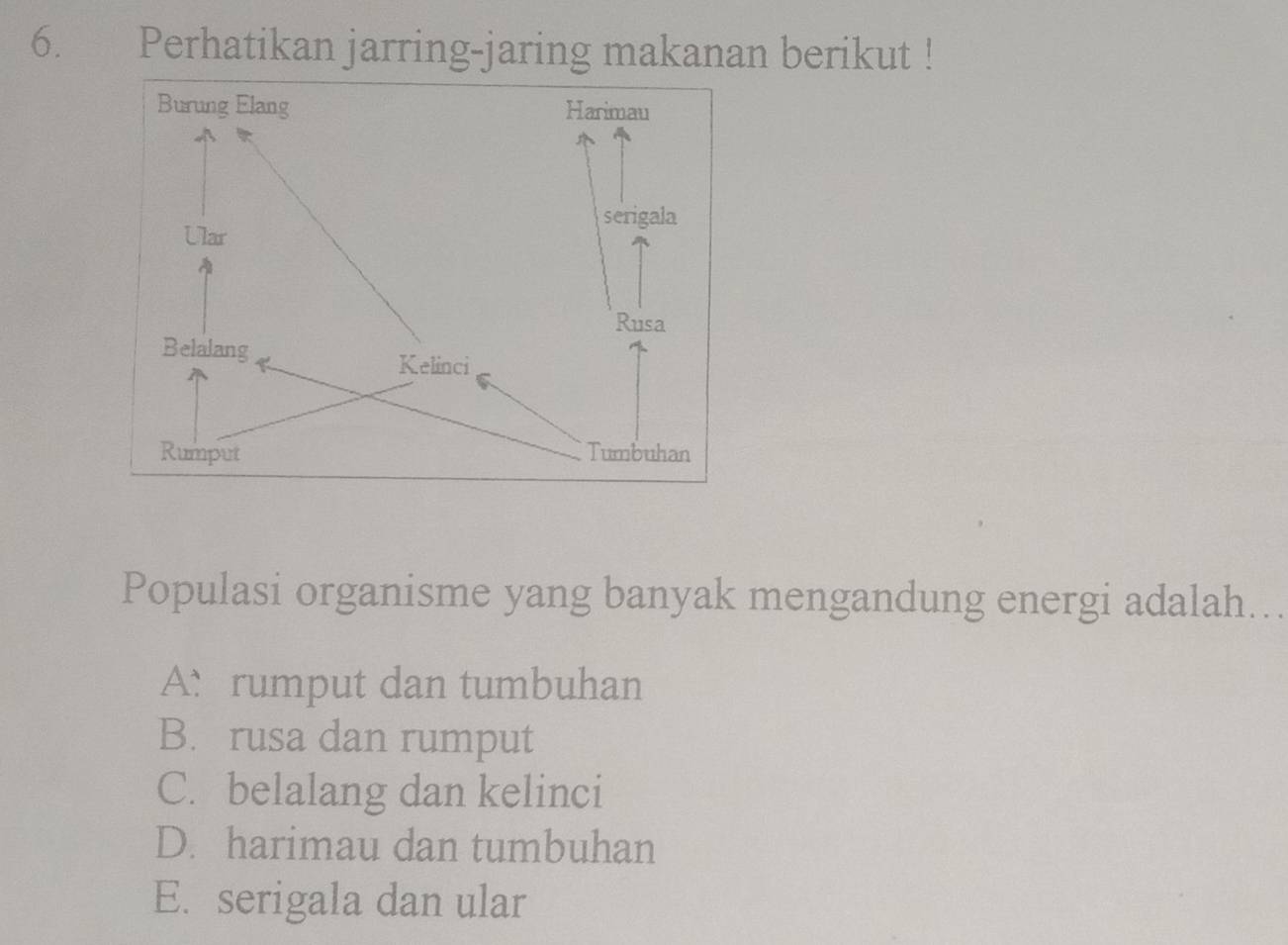 Perhatikan jarring-jaring makanan berikut !
Populasi organisme yang banyak mengandung energi adalah...
A: rumput dan tumbuhan
B. rusa dan rumput
C. belalang dan kelinci
D. harimau dan tumbuhan
E. serigala dan ular