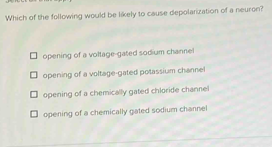 Which of the following would be likely to cause depolarization of a neuron?
opening of a voltage-gated sodium channel
opening of a voltage-gated potassium channel
opening of a chemically gated chloride channel
opening of a chemically gated sodium channel