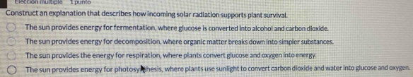 Elección multiple 1 punto
Construct an explanation that describes how incoming solar radiation supports plant survival.
The sun provides energy for fermentation, where glucose is converted into alcohol and carbon dioxide.
The sun provides energy for decomposition, where organic matter breaks down into simpler substances.
The sun provides the energy for respiration, where plants convert glucose and oxygen into energy.
The sun provides energy for photosy thesis, where plants use sunlight to convert carbon dioxide and water into glucose and oxygen.