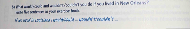 What would/could and wouldn't/couldn't you do if you lived in New Orleans? 
Write five sentences in your exercise book. 
If we lived in Louisiana I would/could ... wouldn't/couldn't ... 
_