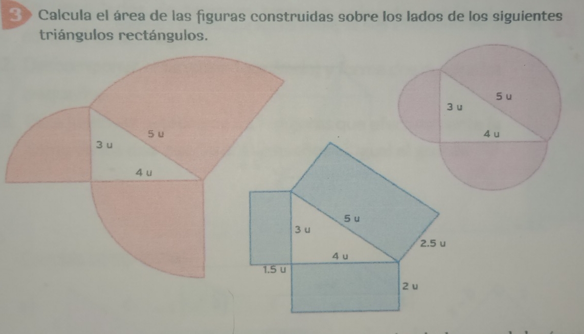 Calcula el área de las figuras construidas sobre los lados de los siguientes
triángulos rectángulos.