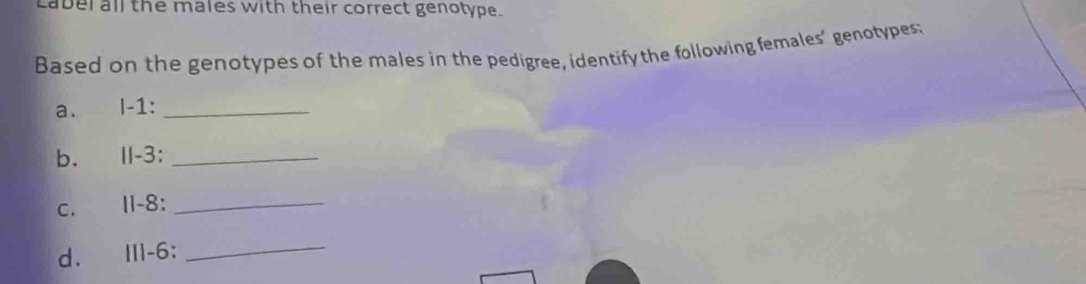 cabel all the males with their correct genotype. 
Based on the genotypes of the males in the pedigree, identify the following females’ genotypes: 
a. l-1:_ 
b. II -3 :_ 
C. I1-8:_ 
d. III-6;_