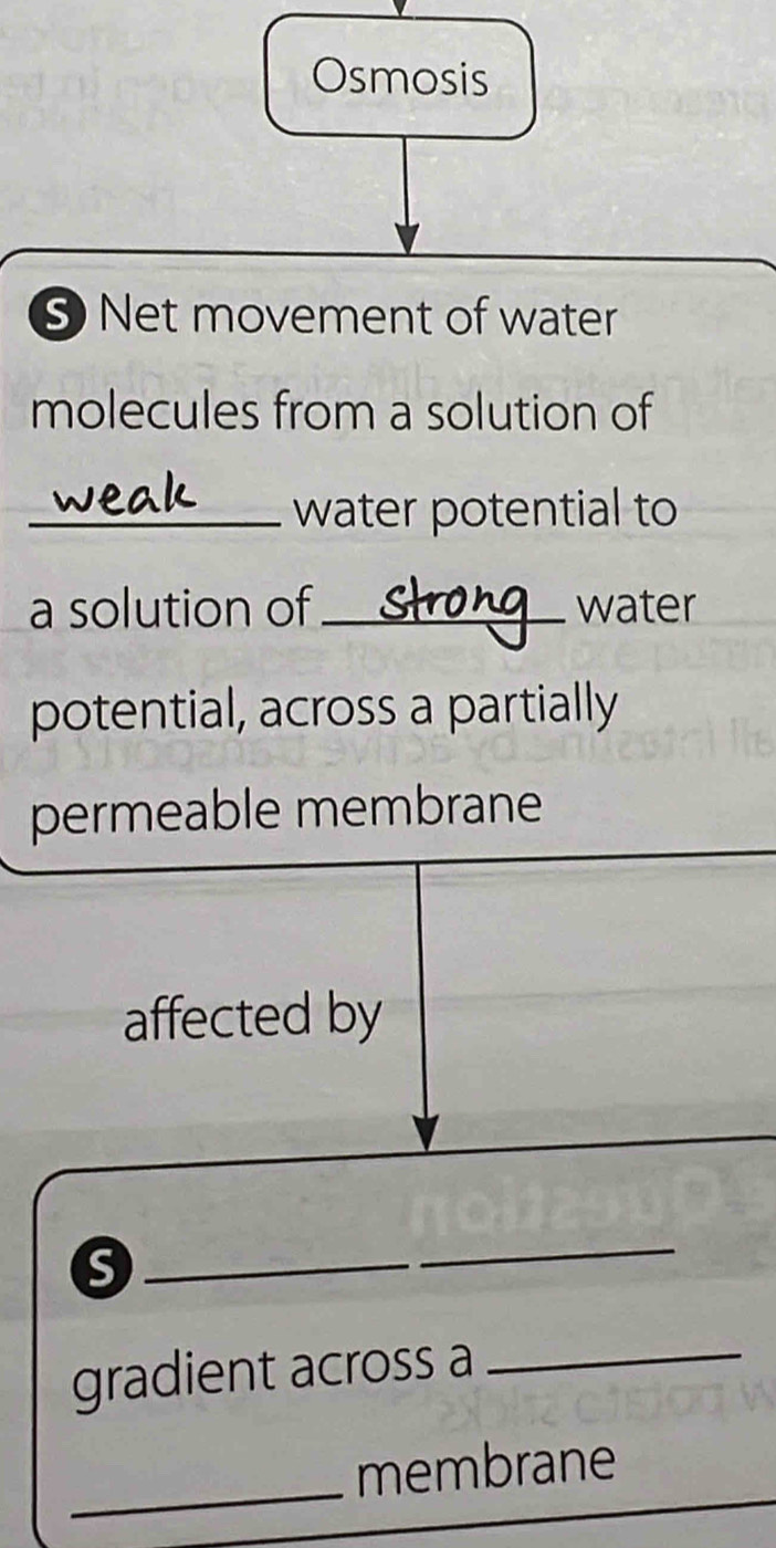 Osmosis 
⑤ Net movement of water 
molecules from a solution of 
_water potential to 
a solution of _water 
potential, across a partially 
permeable membrane 
affected by 
_ 
gradient across a_ 
_ 
_ 
membrane