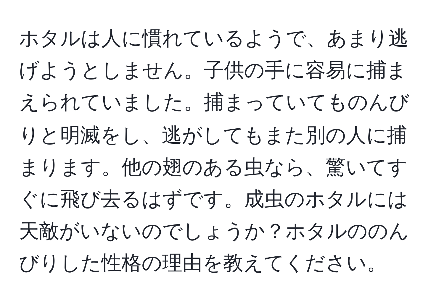 ホタルは人に慣れているようで、あまり逃げようとしません。子供の手に容易に捕まえられていました。捕まっていてものんびりと明滅をし、逃がしてもまた別の人に捕まります。他の翅のある虫なら、驚いてすぐに飛び去るはずです。成虫のホタルには天敵がいないのでしょうか？ホタルののんびりした性格の理由を教えてください。