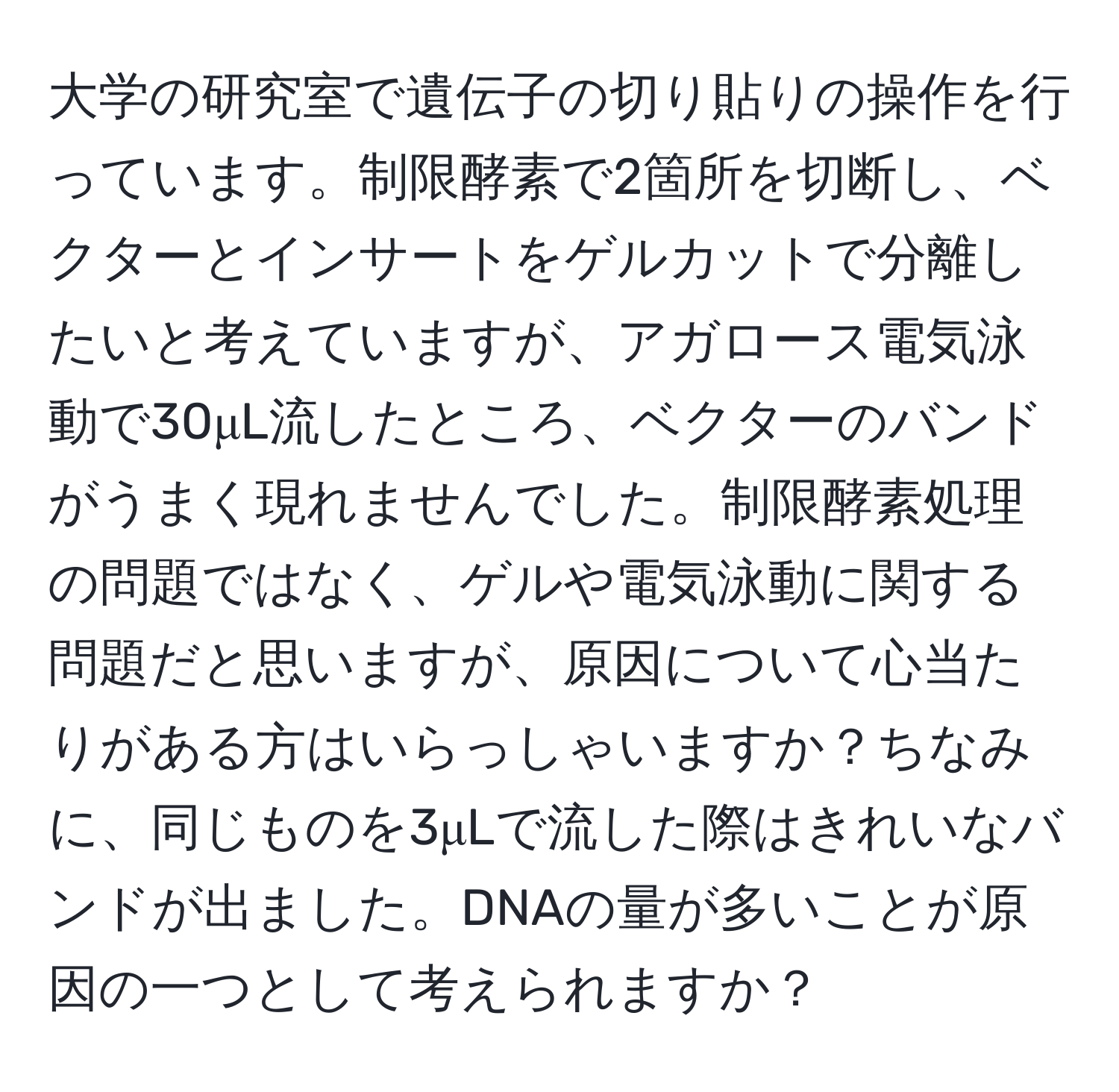 大学の研究室で遺伝子の切り貼りの操作を行っています。制限酵素で2箇所を切断し、ベクターとインサートをゲルカットで分離したいと考えていますが、アガロース電気泳動で30μL流したところ、ベクターのバンドがうまく現れませんでした。制限酵素処理の問題ではなく、ゲルや電気泳動に関する問題だと思いますが、原因について心当たりがある方はいらっしゃいますか？ちなみに、同じものを3μLで流した際はきれいなバンドが出ました。DNAの量が多いことが原因の一つとして考えられますか？