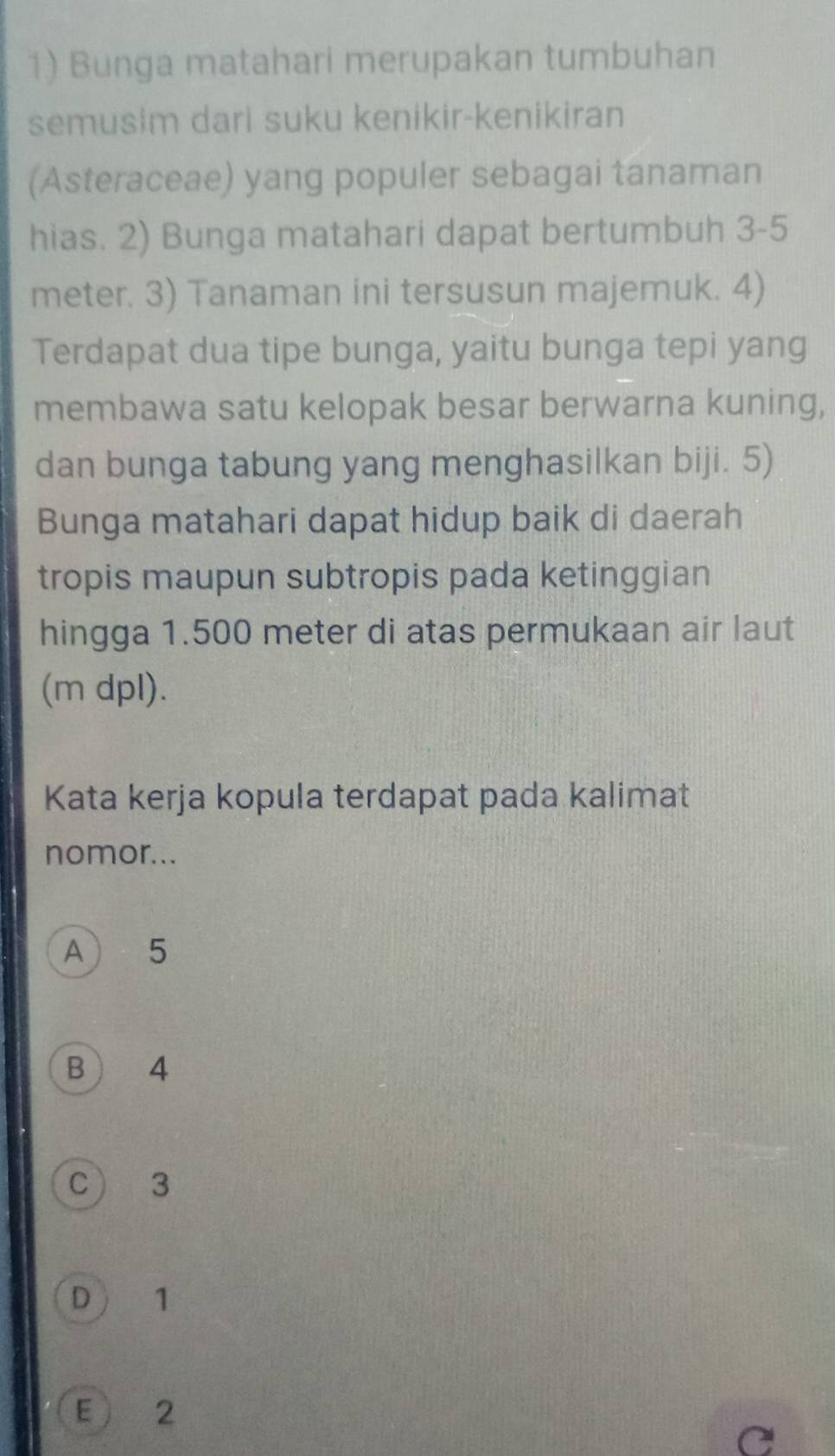 Bunga matahari merupakan tumbuhan
semusim dari suku kenikir-kenikiran
(Asteraceae) yang populer sebagai tanaman
hias. 2) Bunga matahari dapat bertumbuh 3-5
meter. 3) Tanaman ini tersusun majemuk. 4)
Terdapat dua tipe bunga, yaitu bunga tepi yang
membawa satu kelopak besar berwarna kuning,
dan bunga tabung yang menghasilkan biji. 5)
Bunga matahari dapat hidup baik di daerah
tropis maupun subtropis pada ketinggian
hingga 1.500 meter di atas permukaan air laut
(m dpl).
Kata kerja kopula terdapat pada kalimat
nomor...
A 5
B  4
C 3
D 1
E  2