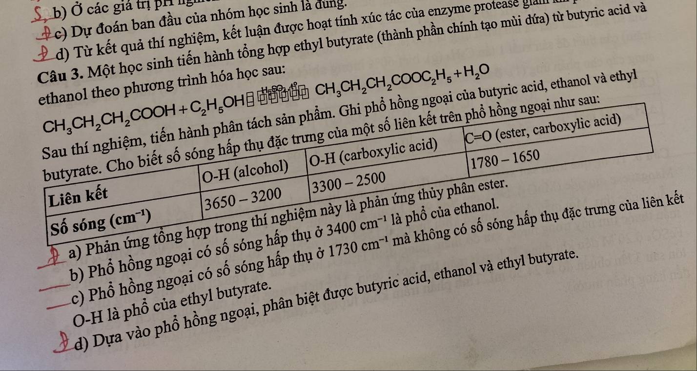 Ở các giá trị phị ng
c) Dự đoán ban đầu của nhóm học sinh là đung.
d) Từ kết quả thí nghiệm, kết luận được hoạt tính xúc tác của enzyme protease galle
Câu 3. Một học sinh tiến hành tổng hợp ethyl butyrate (thành phần chính tạo mùi dứa) từ butyric acid và
ethanol theo phương trình hóa học sau:
CH_3CH_2CH_2COOC_2H_5+H_2O
goại của butyric acid, ethanol và ethyl
au:
a) Phản
_b) Phổ hồng ngoại có số s
__c) Phổ hồng ngoại có số sóng hấp thụ ở 1730cm^(-1)
_d) Dựa vào phổ hồng ngoại, phân biệt được butyric acid, ethanol và ethyl butyrate.
O-H là phổ của ethyl butyrate.