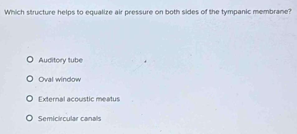 Which structure helps to equalize air pressure on both sides of the tympanic membrane?
Auditory tube
Oval window
External acoustic meatus
Semicircular canals