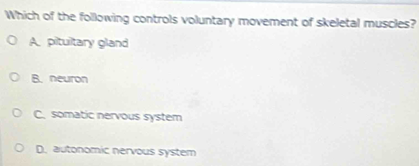 Which of the following controls voluntary movement of skeletal muscles?
A pituiltary gland
B. neuron
C. somatic nervous system
D. autonomic nervous system