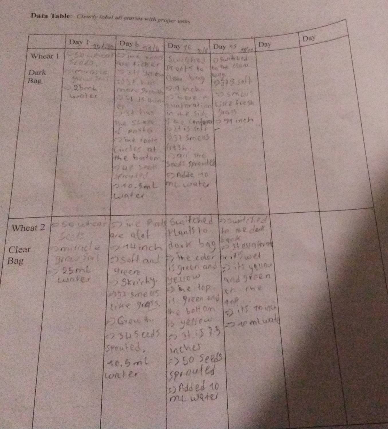 Data Table: Clearly label ofl entries with proper mns 
W 
Cle 
Ba