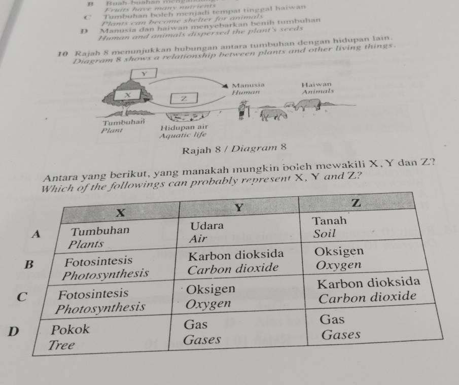 B Bunh buahan mchpn
Friits have mány ntrients
C Tumbuhan boleh menjadi tempat tinggal haiwan
Plantx can become shelter for animals
D Manusia dan haiwan menyebarkan benih tumbuhan
Human and animals dispersed the plant's seeds
10 Rajah 8 menunjukkan hubungan antara tumbuhan dengan hidupan lain.
am 8 shows a relationship between plants and other living things.
Antara yang berikut, yang manakah mungkin boleh mewakili X, Y dan Z?
ings can probably represent X, Y and Z?