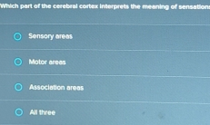 Which part of the cerebral cortex interprets the meaning of sensations
Sensory areas
Motor areas
Association areas
All three