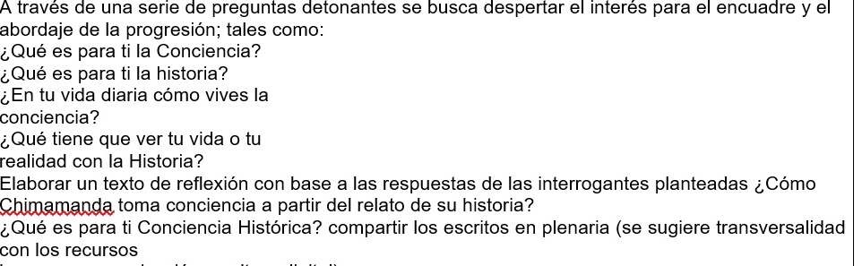 A través de una serie de preguntas detonantes se busca despertar el interés para el encuadre y el 
abordaje de la progresión; tales como: 
¿Qué es para ti la Conciencia? 
¿Qué es para ti la historia? 
¿En tu vida diaria cómo vives la 
conciencia? 
¿Qué tiene que ver tu vida o tu 
realidad con la Historia? 
Elaborar un texto de reflexión con base a las respuestas de las interrogantes planteadas ¿Cómo 
Chimamanda toma conciencia a partir del relato de su historia? 
¿Qué es para ti Conciencia Histórica? compartir los escritos en plenaria (se sugiere transversalidad 
con los recursos