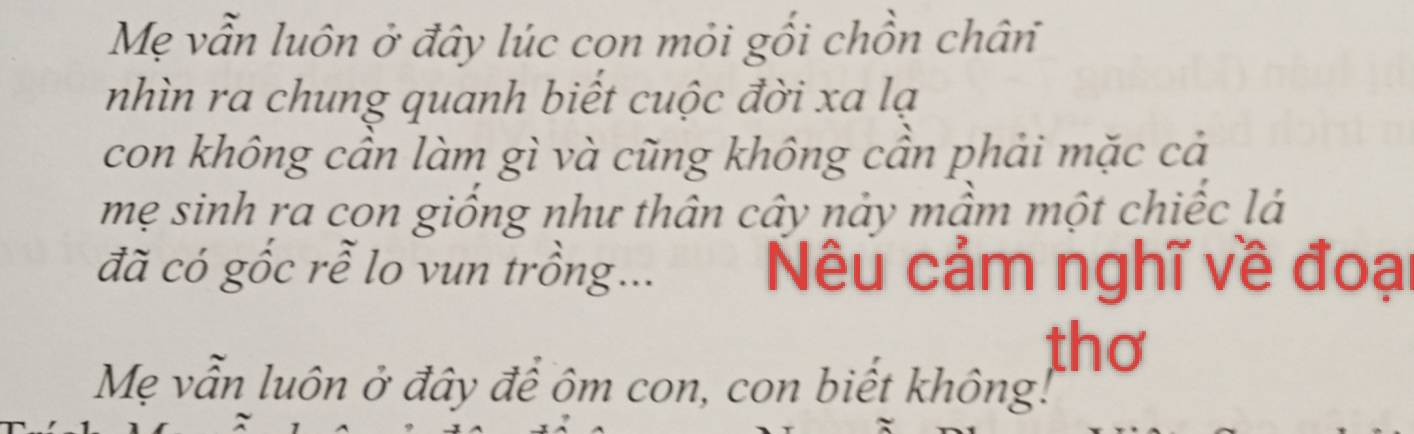 Mẹ vẫn luôn ở đây lúc con mỏi gối chồn chân 
nhìn ra chung quanh biết cuộc đời xa lạ 
con không cần làm gì và cũng không cần phải mặc cả 
mẹ sinh ra con giống như thân cây nảy mầm một chiếc lá 
đã có gốc rễ lo vun trồng... Nêu cảm nghĩ về đoại 
thơ 
Mẹ vẫn luôn ở đây để ôm con, con biết không!