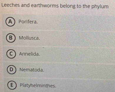 Leeches and earthworms belong to the phylum
A  Porifera.
B  Mollusca.
C Annelida.
D Nematoda.
EPlatyhelminthes.