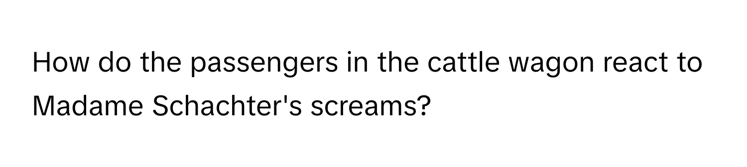 How do the passengers in the cattle wagon react to Madame Schachter's screams?