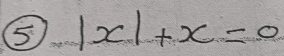 5 |x|+x=0