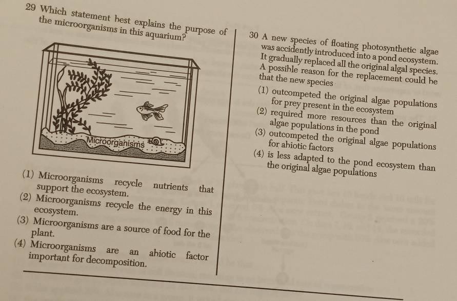 the microorganisms in this aqu
29 Which statement best explains the purpose of 30 A new species of floating photosynthetic algae
was accidently introduced into a pond ecosystem.
It gradually replaced all the original algal species.
A possible reason for the replacement could be
that the new species
(1) outcompeted the original algae populations
for prey present in the ecosystem
(2) required more resources than the original
algae populations in the pond
(3) outcompeted the original algae populations
for abiotic factors
(4) is less adapted to the pond ecosystem than
the original algae populations
) Microorganisms recycle nutrients that
support the ecosystem.
(2) Microorganisms recycle the energy in this
ecosystem.
(3) Microorganisms are a source of food for the
plant.
(4) Microorganisms are an abiotic factor
important for decomposition.