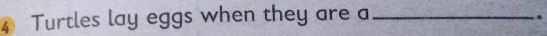 Turtles lay eggs when they are a_ 
.