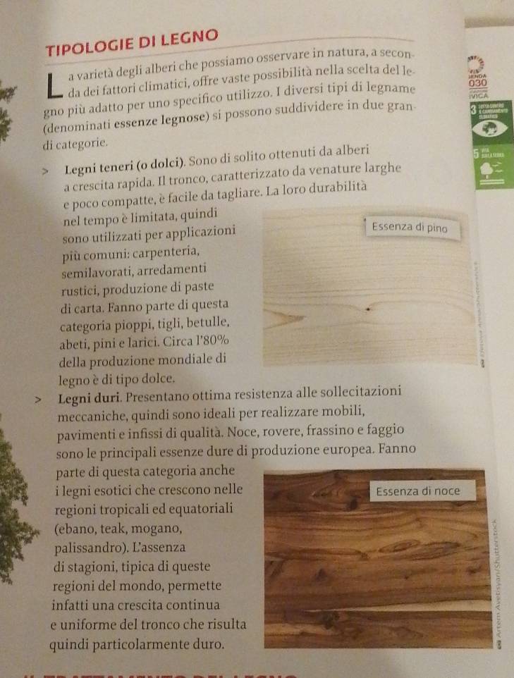 TIPOLOGIE DI LEGNO 
a varietà degli alberi che possiamo osservare in natura, a secon 
da dei fattori climatici, offre vaste possibilità nella scelta del le 
gno più adatto per uno specifico utilizzo. I diversi tipi di legname 
(denominati essenze legnose) si possono suddividere in due gran 
di categorie. 
Legni teneri (o dolci). Sono di solito ottenuti da alberi 
5 sn 
a crescita rapida. Il tronco, caratterizzato da venature larghe 
e poco compatte, è facile da tagliare. La loro durabilità 
nel tempo è limitata, quindi 
sono utilizzati per applicazioni 
Essenza di pino 
più comuni: carpenteria, 
semilavorati, arredamenti 
rustici, produzione di paste 
di carta. Fanno parte di questa 
categoria pioppi, tigli, betulle, 
abeti, pini e larici. Circa l’ 80%
della produzione mondiale di 
legno è di tipo dolce. 
Legni duri. Presentano ottima resistenza alle sollecitazioni 
meccaniche, quindi sono ideali per realizzare mobili, 
pavimenti e infissi di qualità. Noce, rovere, frassino e faggio 
sono le principali essenze dure di produzione europea. Fanno 
parte di questa categoria anche 
i legni esotici che crescono nelle 
regioni tropicali ed equatoriali 
(ebano, teak, mogano, 
palissandro). Lassenza 
di stagioni, tipica di queste 
regioni del mondo, permette 
infatti una crescita continua 
e uniforme del tronco che risulta 
quindi particolarmente duro.