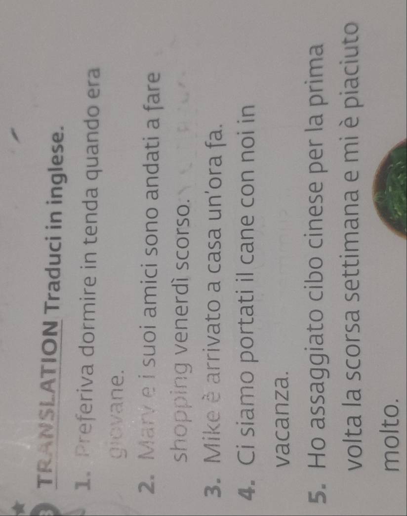 TRANSLATION Traduci in inglese. 
1. Preferiva dormire in tenda quando era 
glovane. 
2. Marv e i suoi amici sono andati a fare 
shopping venerdì scorso. 
3. Mike è arrivato a casa un'ora fa. 
4. Ci siamo portati il cane con noi in 
vacanza. 
5. Ho assaggiato cibo cinese per la prima 
volta la scorsa settimana e mi è piaciuto 
molto.