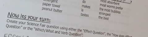 ost absorbent ? 
do meal worms prefer 
paper towel makes 
the most bubbles 
is strongest 
peanut butter tastes the best 
Now its your turn: 
Create your Science Fair question using either the "Effect Question", the ''How does Affe 
Question” or the "Which/What and Verb Question":