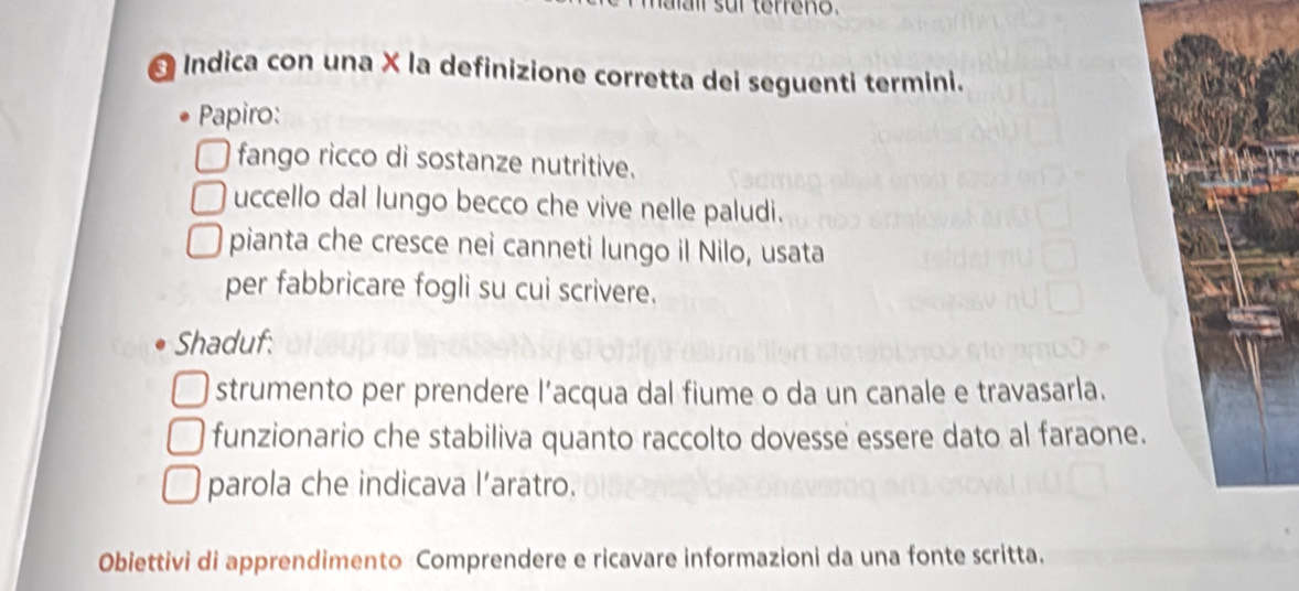 sur terreno.
Indica con una X la definizione corretta dei seguenti termini.
Papiro:
fango ricco di sostanze nutritive.
uccello dal lungo becco che vive nelle paludi.
pianta che cresce nei canneti lungo il Nilo, usata
per fabbricare fogli su cui scrivere.
Shaduf:
strumento per prendere l’acqua dal fiume o da un canale e travasarla.
funzionario che stabiliva quanto raccolto dovesse essere dato al faraone.
parola che indicava l’aratro.
Obiettivi di apprendimento Comprendere e ricavare informazioni da una fonte scritta.