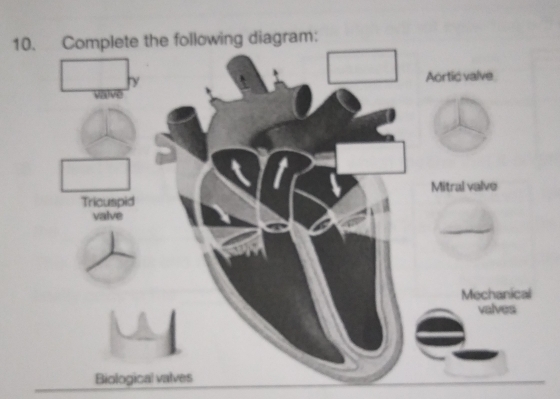 1ing diagram: