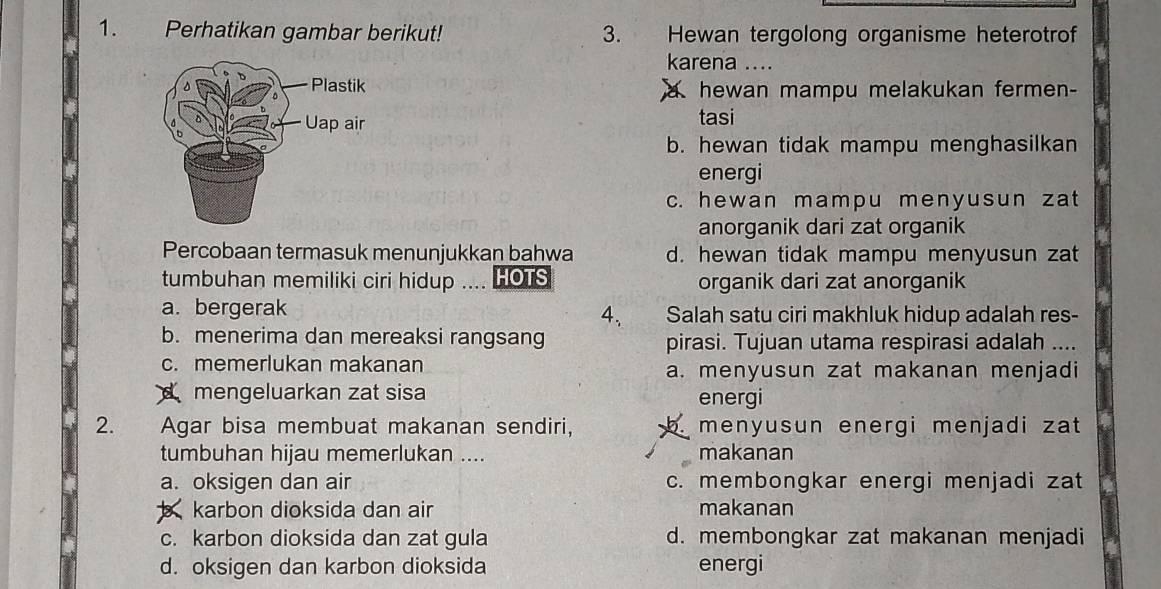 Perhatikan gambar berikut! 3. Hewan tergolong organisme heterotrof
karena ....
hewan mampu melakukan fermen-
tasi
b. hewan tidak mampu menghasilkan
energi
c. hewan mampu menyusun zat
anorganik dari zat organik
Percobaan termasuk menunjukkan bahwa d. hewan tidak mampu menyusun zat
tumbuhan memiliki ciri hidup . HOTS organik dari zat anorganik
a. bergerak Salah satu ciri makhluk hidup adalah res-
4、
b. menerima dan mereaksi rangsang pirasi. Tujuan utama respirasi adalah ....
c. memerlukan makanan a. menyusun zat makanan menjadi
mengeluarkan zat sisa energi
2. Agar bisa membuat makanan sendiri, menyusun energi menjadi zat
tumbuhan hijau memerlukan .... makanan
a. oksigen dan air c. membongkar energi menjadi zat
karbon dioksida dan air makanan
c. karbon dioksida dan zat gula d. membongkar zat makanan menjadi
d. oksigen dan karbon dioksida energi