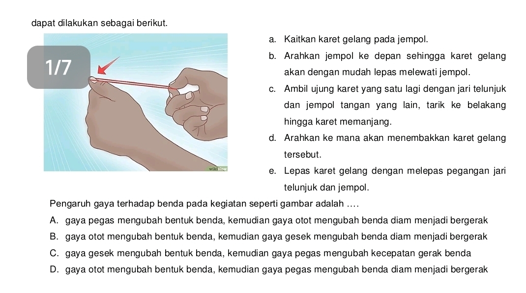 dapat dilakukan sebagai berikut.
a. Kaitkan karet gelang pada jempol.
b. Arahkan jempol ke depan sehingga karet gelang
akan dengan mudah lepas melewati jempol.
c. Ambil ujung karet yang satu lagi dengan jari telunjuk
dan jempol tangan yang lain, tarik ke belakang
hingga karet memanjang.
d. Arahkan ke mana akan menembakkan karet gelang
tersebut.
e. Lepas karet gelang dengan melepas pegangan jari
telunjuk dan jempol.
Pengaruh gaya terhadap benda pada kegiatan seperti gambar adalah ....
A. gaya pegas mengubah bentuk benda, kemudian gaya otot mengubah benda diam menjadi bergerak
B. gaya otot mengubah bentuk benda, kemudian gaya gesek mengubah benda diam menjadi bergerak
C. gaya gesek mengubah bentuk benda, kemudian gaya pegas mengubah kecepatan gerak benda
D. gaya otot mengubah bentuk benda, kemudian gaya pegas mengubah benda diam menjadi bergerak