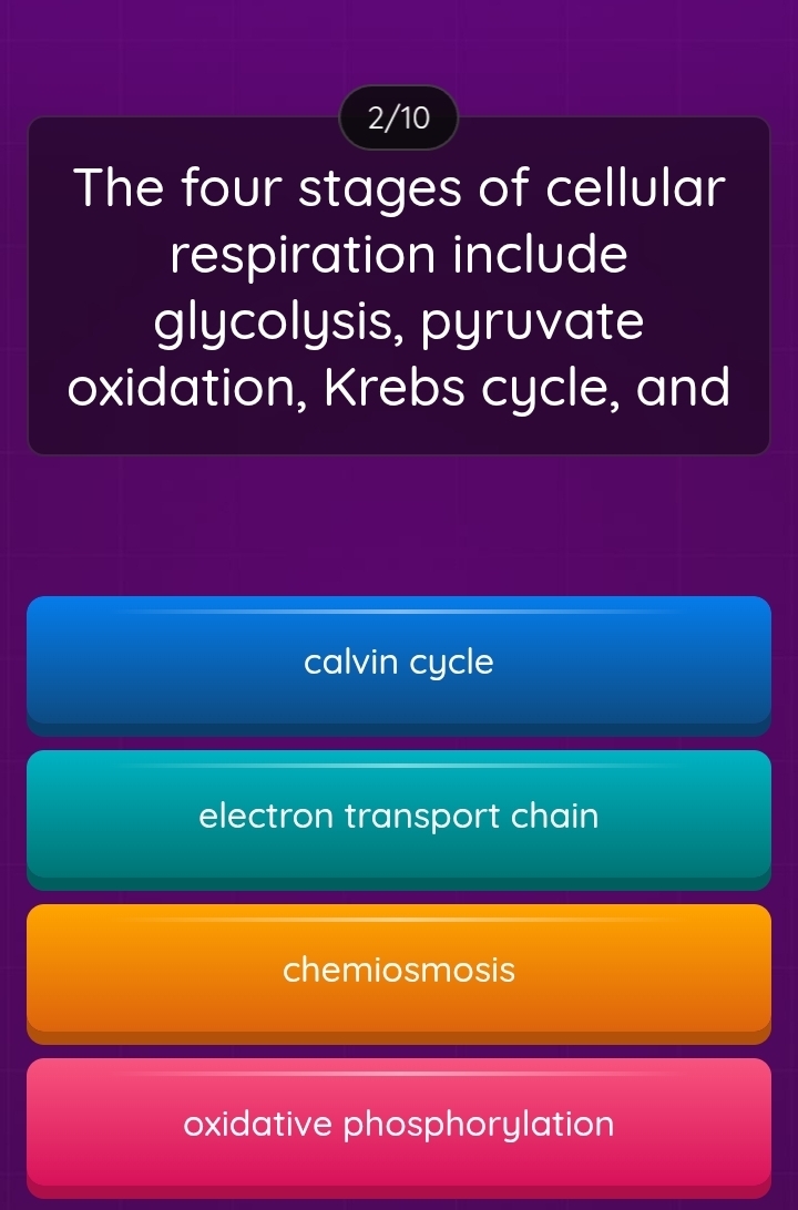 2/10
The four stages of cellular
respiration include
glycolysis, pyruvate
oxidation, Krebs cycle, and
calvin cycle
electron transport chain
chemiosmosis
oxidative phosphorylation