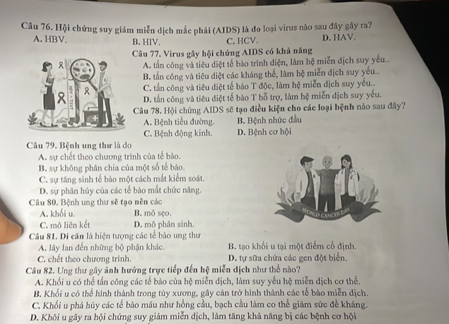 Hội chứng suy giảm miễn dịch mắc phải (AIDS) là do loại virus nào sau đây gây ra?
A. HBV. B. HIV. C. HCV. D. HAV.
Câu 77. Virus gây hội chứng AIDS có khả năng
A. tấn công và tiêu diệt tế bào trình diện, làm hệ miễn dịch suy yếu..
B. tấn công và tiêu diệt các kháng thể, làm hệ miễn dịch suy yếu..
C. tấn công và tiêu diệt tế bào T độc, làm hệ miễn dịch suy yếu..
D. tấn công và tiêu diệt tế bào T hỗ trợ, làm hệ miễn dịch suy yếu.
Câu 78. Hội chứng AIDS sẽ tạo điều kiện cho các loại bệnh nào sau đây?
A. Bệnh tiểu đường. B. Bệnh nhức đầu
C. Bệnh động kinh. D. Bệnh cơ hội
Câu 79. Bệnh ung thư là do
A. sự chết theo chương trình của tế bào.
B. sự không phân chia của một số tế bào.
C. sự tăng sinh tế bào một cách mất kiểm soát.
D. sự phân hủy của các tế bào mắt chức năng.
Câu 80. Bệnh ung thư sẽ tạo nên các
A. khối u. B. mô sço.
C. mô liên kết D. mô phân sinh.
Câu 81. Di căn là hiện tượng các tế bào ung thư
A. lây lan đến những bộ phận khác. B. tạo khối u tại một điểm cố định.
C. chết theo chương trình. D. tự sữa chửa các gen đột biển.
Câu 82. Ung thư gây ảnh hưởng trực tiếp đến hệ miễn dịch như thế nào?
A. Khối u có thể tấn công các tế bào của hệ miễn dịch, làm suy yếu hệ miễn dịch cơ thể.
B. Khối u có thể hình thành trong tủy xương, gây cản trở hình thành các tế bào miễn dịch.
C. Khối u phá hủy các tế bào máu như hồng cầu, bạch cầu làm co thể giảm sức đề kháng.
D. Khôi u gây ra hội chứng suy giảm miễn dịch, làm tăng khả năng bị các bệnh cơ hội