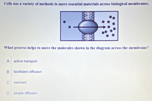 Cells use a variety of methods to move essential materials across biological membranes.
What process helps to move the molecules shown in the diagram across the membrane?
A active transport
B facilitated diffusion
C osmosis
D simple diffusion