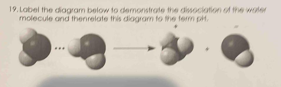 Label the diagram below to demonstrate the dissociation of the water 
molecule and thenrelate this diagram to the term pH. 
. . .