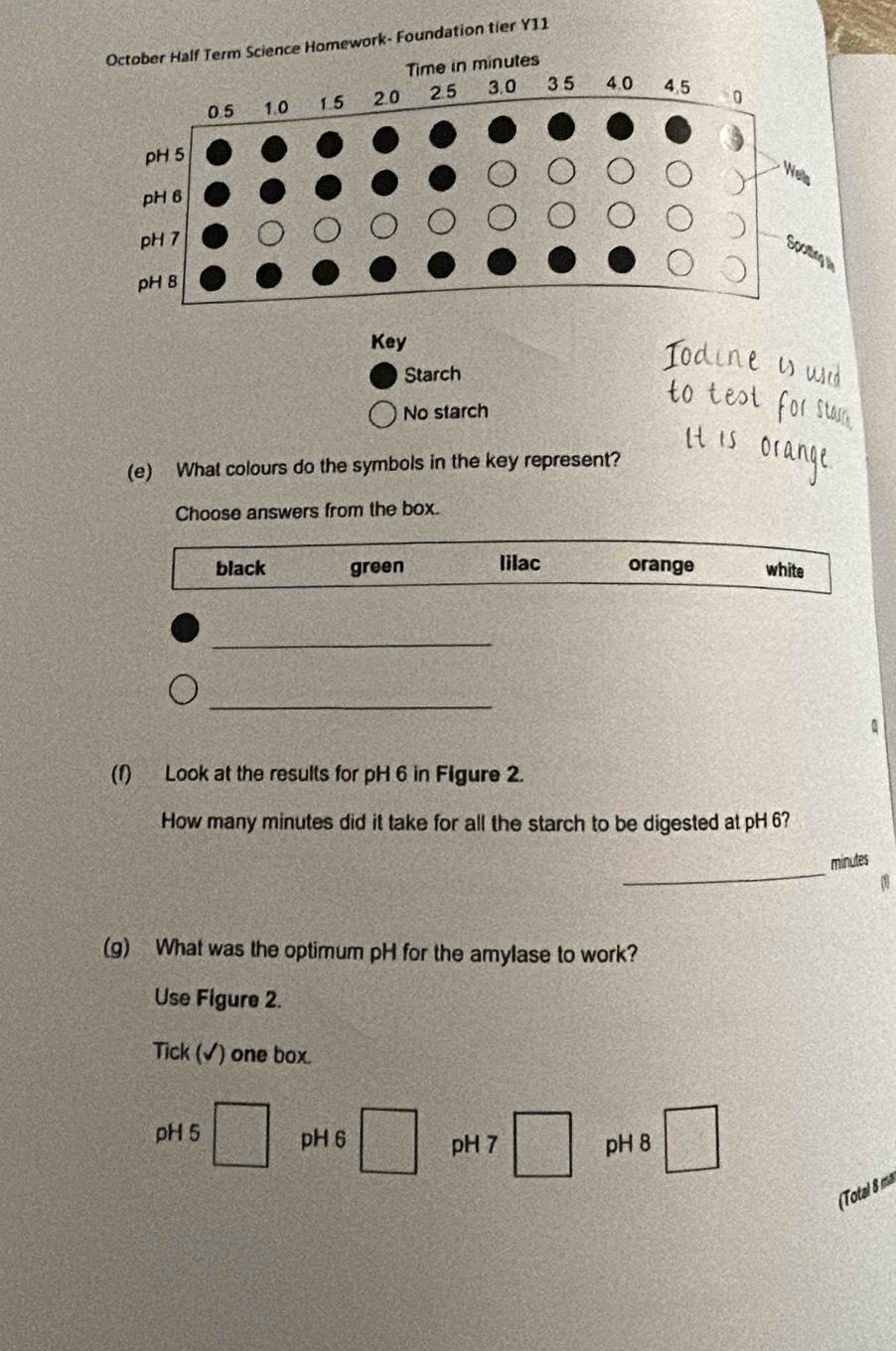 Homework- Foundation tier Y11
Key
Starch
No starch
(e) What colours do the symbols in the key represent?
Choose answers from the box.
black green lilac orange white
_
_
u
(f) Look at the results for pH 6 in Figure 2.
How many minutes did it take for all the starch to be digested at pH 6?
_
minutes
(g) What was the optimum pH for the amylase to work?
Use Figure 2.
Tick (√) one box.
pH5□ pH 6 □° pH 7 □ pH 8 □ 
(Total 8 ma