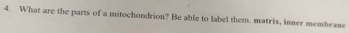 What are the parts of a mitochondrion? Be able to label them. matrix, inner membrane