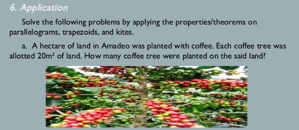 Application 
Solve the following problems by applying the properties/theorems on 
parallelograms, trapezoids, and kites. 
a. A hectare of land in Amadeo was planted with coffee. Each coffee tree was 
allotted 20m^2 of land. How many coffee tree were planted on the said land?