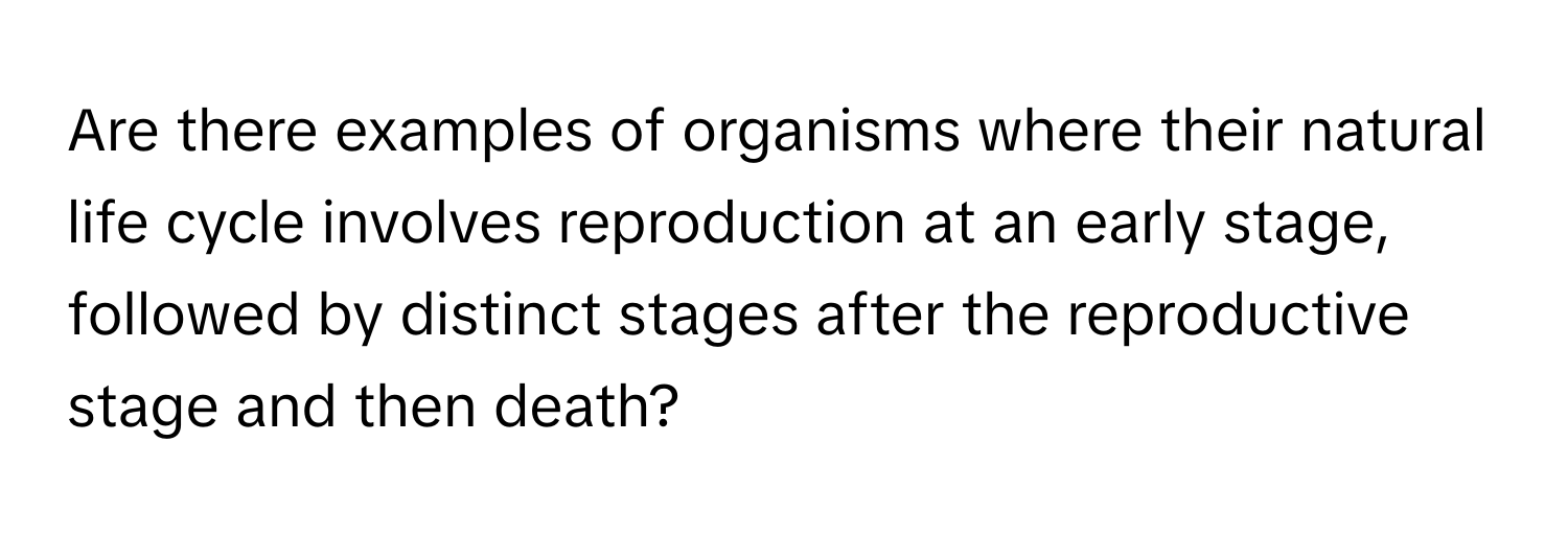 Are there examples of organisms where their natural life cycle involves reproduction at an early stage, followed by distinct stages after the reproductive stage and then death?