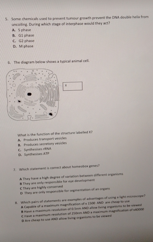 Some chemicals used to prevent tumour growth prevent the DNA double helix from
uncoiling. During which stage of interphase would they act?
A. S phase
B. G1 phase
C. G2 phase
D. M phase
6. The diagram below shows a typical animal cell.
What is the function of the structure labelled X?
A. Produces transport vesicles
B. Produces secretory vesicles
C. Synthesises rRNA
D. Synthesises ATP
7. Which statement is correct about homeobox genes?
A They have a high degree of variation between different organisms
B They are only responsible for eye development
C They are highly conserved
D They are only responsible for segmentation of an organs
8. Which pairs of statements are examples of advantages of using a light microscope?
A Capable of a maximum magnification of x 1500 AND are cheap to use
B Have a maximum resolution of 0.5nm AND allow living organisms to be viewed
C Have a maximum resolution of 250nm AND a maximum magnification of x40000
D Are cheap to use AND allow living organisms to be viewed