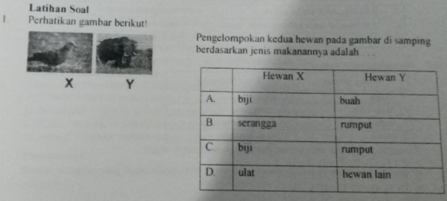 Latihan Soal 
1 Perhatikan gambar berikut! 
Pengelompokan kedua hewan pada gambar di samping 
berdasarkan jenis makanannya adalah
x Y