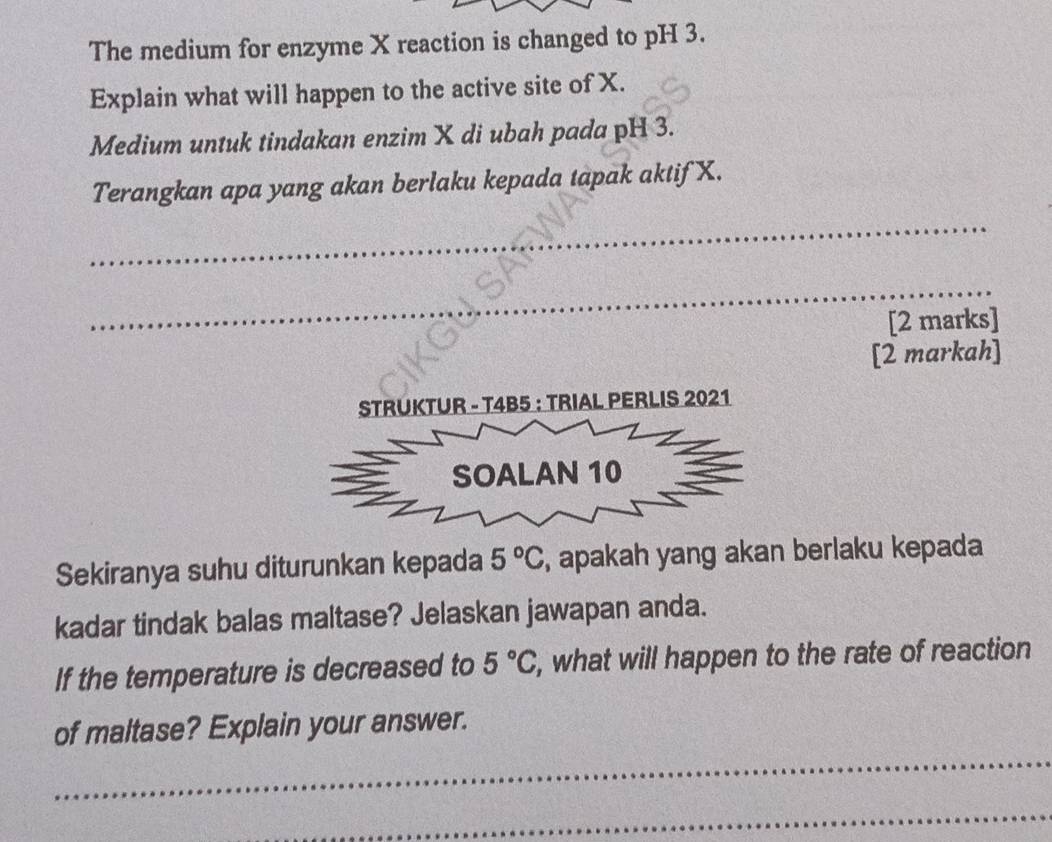 The medium for enzyme X reaction is changed to pH 3. 
Explain what will happen to the active site of X. 
Medium untuk tindakan enzim X di ubah pada pH 3. 
Terangkan apa yang akan berlaku kepada tapak aktif X. 
_ 
_ 
[2 marks] 
[2 markah] 
Sekiranya suhu diturunkan kepada 5°C , apakah yang akan berlaku kepada 
kadar tindak balas maltase? Jelaskan jawapan anda. 
If the temperature is decreased to 5°C , what will happen to the rate of reaction 
_ 
of maltase? Explain your answer. 
_