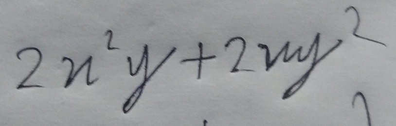 2x^2y+2xy^2