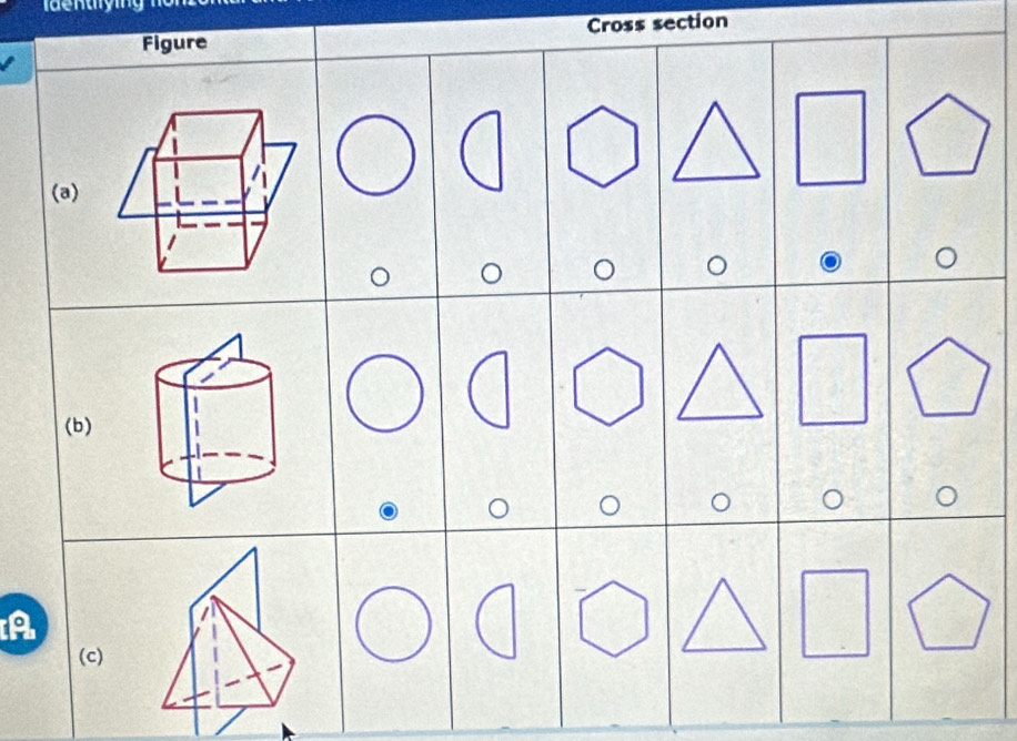 Figure Cross section 
(a) 
(b) 
A 
(c)