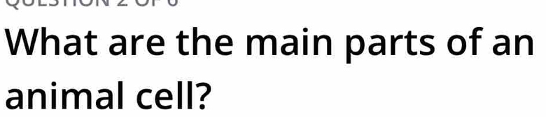 What are the main parts of an 
animal cell?