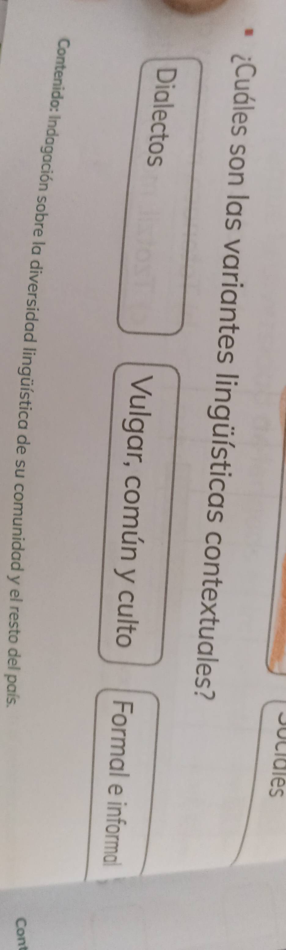 Sociales
¿Cuáles son las variantes lingüísticas contextuales?
Dialectos
Vulgar, común y culto Formal e informal
Contenido: Indagación sobre la diversidad lingüística de su comunidad y el resto del país.
Cont