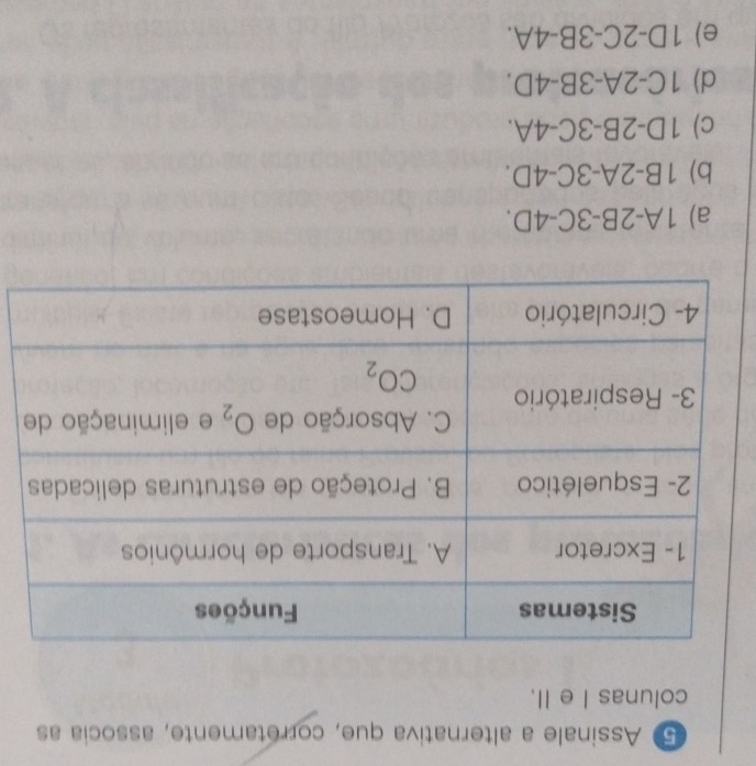 Assinale a alternativa que, corretamente, associa as
colunas I e II.
a) 1A-2B-3C-4D.
b) 1B-2A-3C-4D.
c) 1D-2B-3C-4A.
d) 1C-2A-3B-4D.
e) 1D-2C-3B-4A.