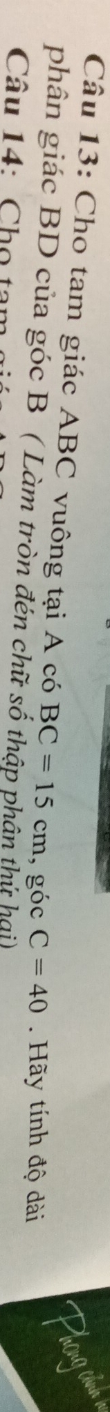 Cho tam giác ABC vuông tại A có BC=15cm , góc C=40. Hãy tính độ dài 
Phong cnh ở 
phân giác BD của góc B ( Làm tròn đén chữ số thập phân thứ hại) 
Câu 14: Chọ tam o