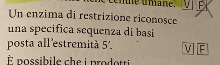 cénule umane. F
Un enzima di restrizione riconosce
una specifica sequenza di basi
posta all’estremità 5'. 
V F
È possibile che i prodotti